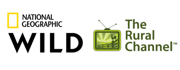 Quadro communications Qtv television channels theme packages packs